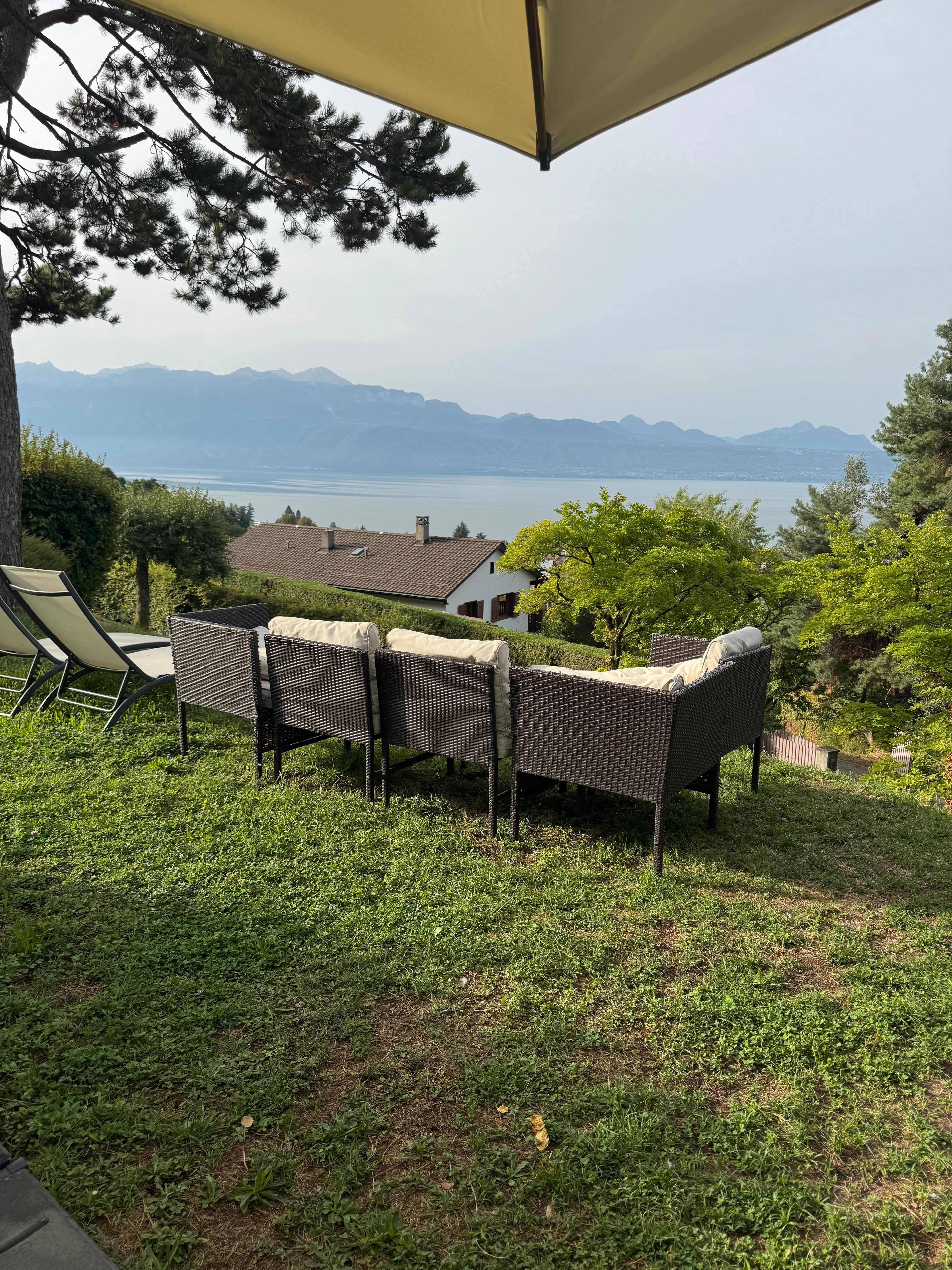 Mon jardin avec vue sur le Lac Léman - photo 3 sur 5